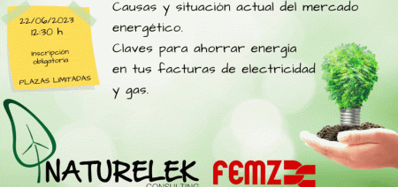 COMPRENDE LAS CLAVES DE LAS TARIFAS Y LAS FACTURAS DE LA LUZ Y EL GAS