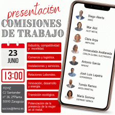 PRESENTACIÓN DE COMISIONES DE TRABAJO EN FEMZ