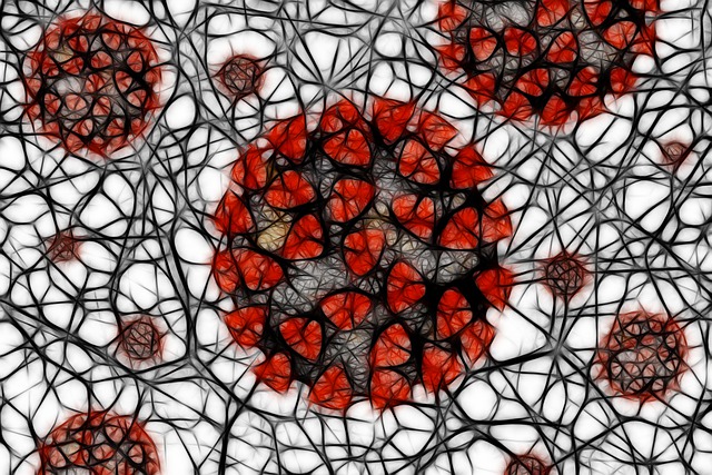 NUEVA LEY DEL RÉGIMEN JURÍDICO DE ALERTA SANITARIA PARA EL CONTROL DE LA PANDEMIA COVID-19 EN ARAGÓN