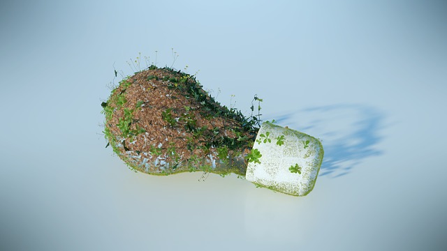 ¿ESTOY SUJETO A LA OBLIGACIÓN DE CONSTITUCIÓN DE GARANTÍA FINANCIERA DE RESPONSABILIDAD MEDIOAMBIENTAL?