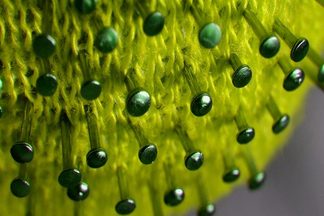 FINALIZA EL REAL DECRETO QUE FIJABA EL PERMISO RETRIBUIBLE