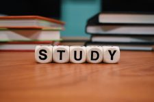 NUEVOS CURSOS DE FORMACIÓN